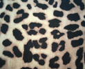 ANIMAL PRINT BEIGE ANIMAL PRINT BEIGE